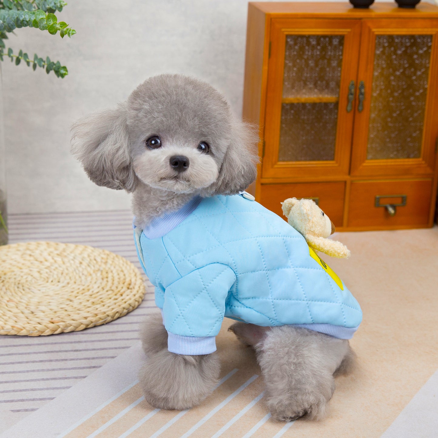 人気犬の服ペット服小型犬猫は秋と冬暖かい快適な超音波クマ綿コートを着ることができる