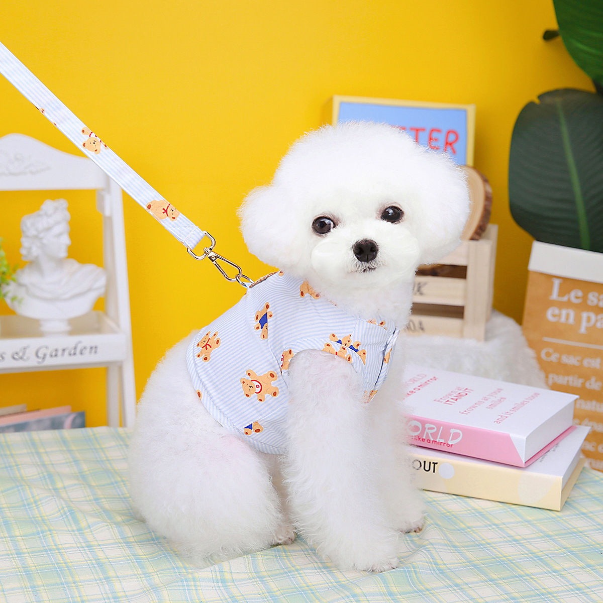 熊カップルペット猫テディ比熊犬服ベスト幼犬胸帯薄い夏牽引ロープ メガ割ワンピースパンツトートバッグ