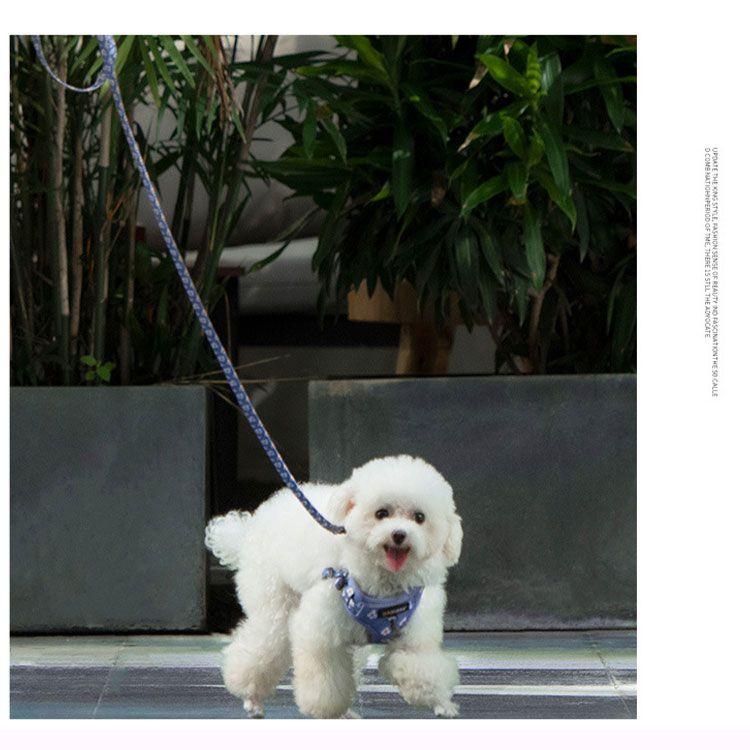 新商品プロモーション,数量限定 ハーネス 小型犬 ハーネス リード 2点セット ペット用品 全9種 ハーネスフリーサーズ 体重5kg以内 リード152cm バックルで簡単着脱 歩行補ハーネス 小型犬
