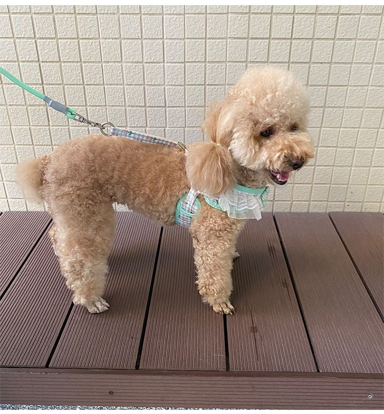 犬の牽引紐レースの胸の帯のテディ比熊の小型犬の牽引犬の縄は犬のひもの犬のチェーンを散歩します