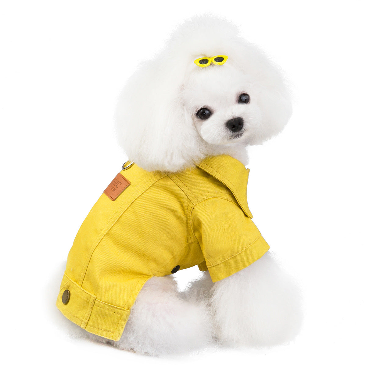 猫 犬 洋服 犬服 ペット服 大中小型犬 ペット用品 犬/猫用 犬の服 ペットウエア 小型犬 中型犬 通気 可愛い ドッグウェア トレーナー 犬 服 ワンピース サロペット ビションフリーゼ 犬猫服