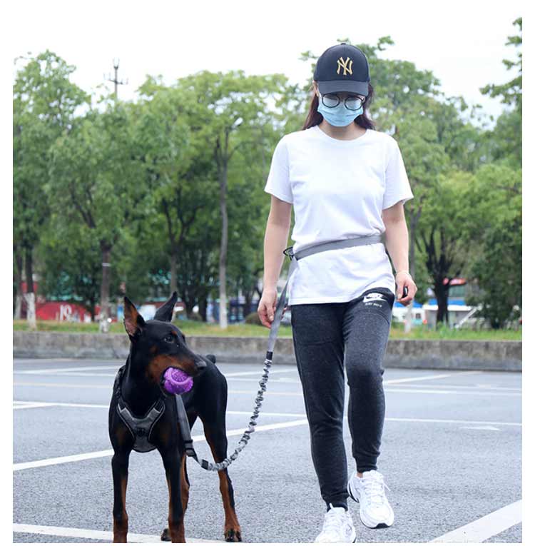 高い人気 リード 犬 ハンズフリー 腰に巻ける 肩掛け 犬リード 大型犬 中型犬 小型犬 しつけ用リード 犬と一緒にランニング/ジョギング/散歩用 ベルト ショルダー ポール留め マルチ ペット用品