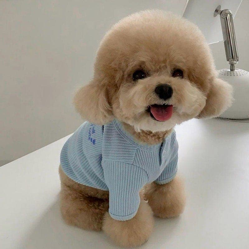 メガ割 3日で出荷新作 の犬服 テディボーミペットのコキシナレビーベア 暖かい可愛らしい 暖かい野球服 アウター