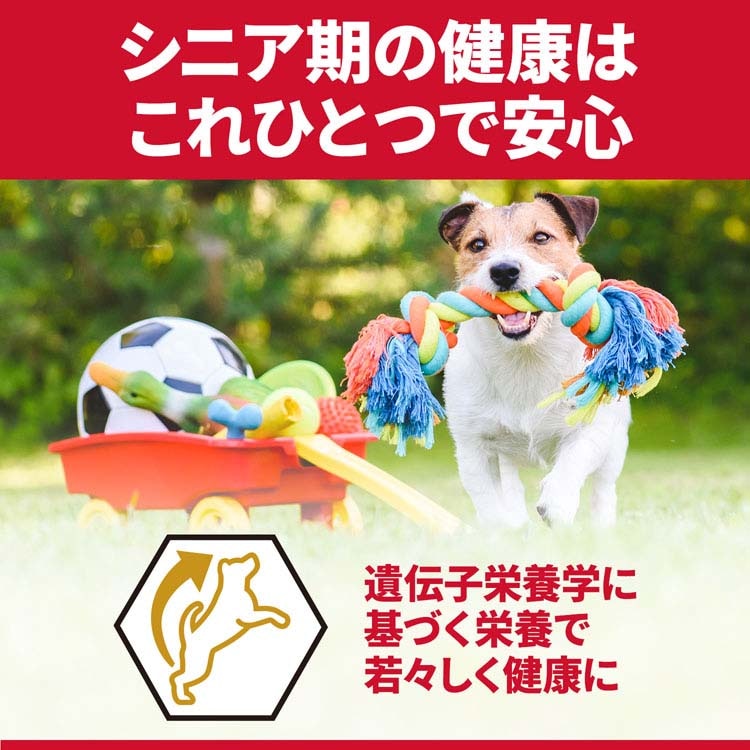 (2個セット)ドッグフード シニア 中型犬 サイエンスダイエットプロ犬用 シニアトータルケア機能 中粒 7歳以上 3kg ヒルズ メガ割