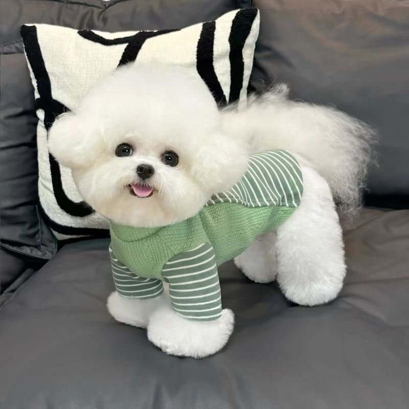 かわいい 猫 犬の服 秋冬物 新しいスタイル ビションフリーゼ テディ シュナウザー ペット用あったかボトムシャツ ホームウェア 犬 服 犬の服 犬 洋服 犬の服夏 犬洋服