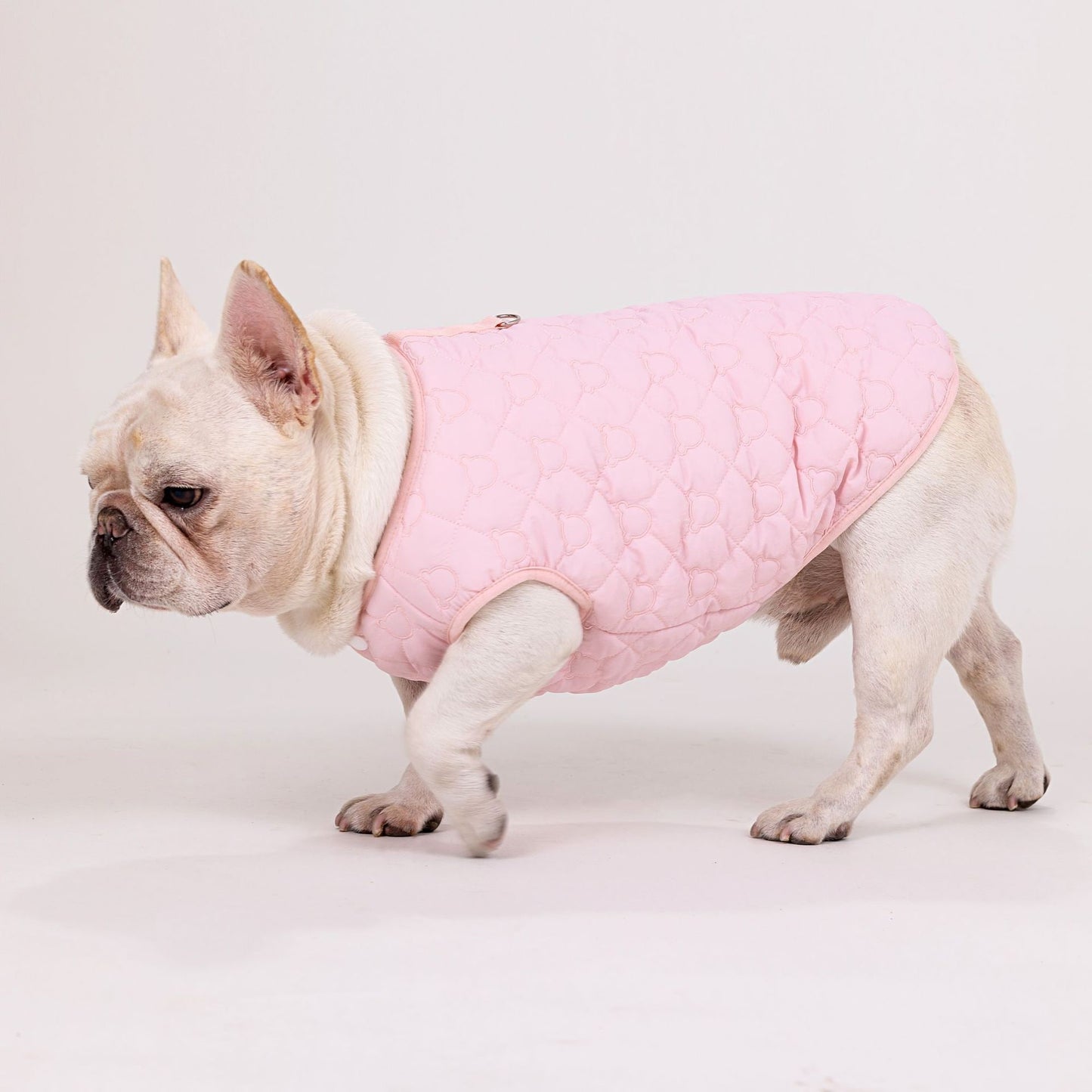 人気ペット服 犬の服 ペットの服 秋冬 ブルドッグモデル ブルドッグ 4色 コットンベスト