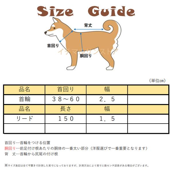 リード 速乾 セット カラフル お手入れ簡単 PVC 防カビ 犬 防水 首輪 中型犬 アウトドア 柴犬 おしゃれ 雨の日