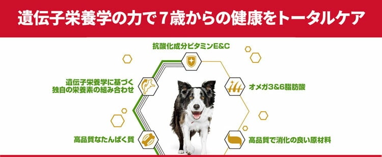 (2個セット)ドッグフード シニア 中型犬 サイエンスダイエットプロ犬用 シニアトータルケア機能 中粒 7歳以上 3kg ヒルズ メガ割
