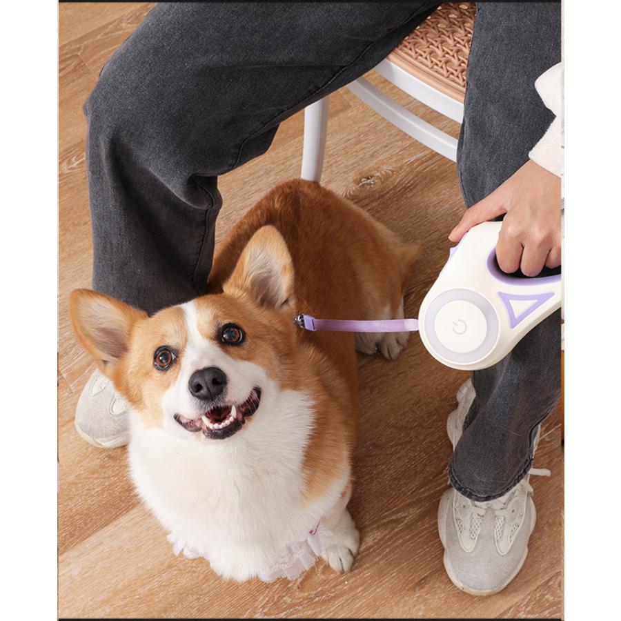 3日以内に出荷 2025新品 3m / 5m LEDライト フレキシリード 小型犬用 中型犬用 大型犬用 テープ/コード 耐久性 頑丈 安全 伸縮リード フレキシ ペット用品 犬用品3m /