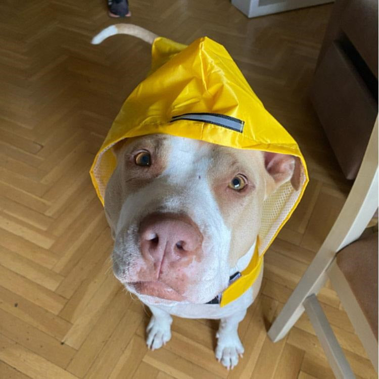 犬 レインコート 小型犬 中型犬 大型犬 防水 レインコート ポンチョ 撥水 かっぱ 合羽 雨具 カッパ レインポンチョ ペット服 犬用 レインコート