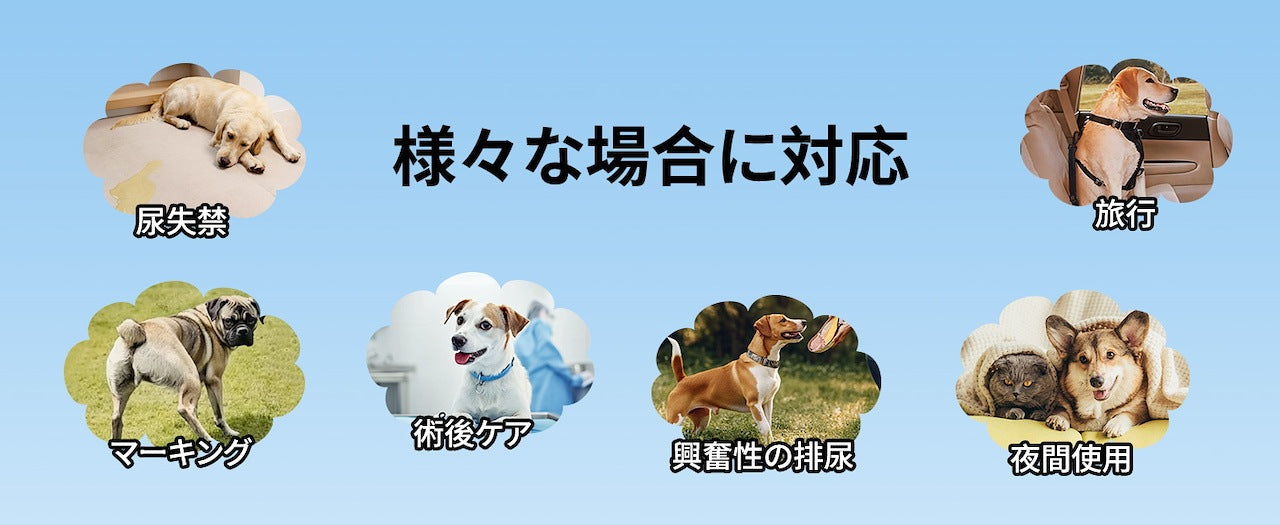 <a href="https://www.qoo10.jp/gmkt.inc/Search/brand.aspx?brandno=109151" target="_blank" class="title_brand" id="btn_brand" title="Honeycare">Honeycare</a>男の子用マナーおむつオムツ 36枚 ペットの紙おむつ 男の子 しつけ 男の子 マナーおむつ ペット 犬 おむつ 犬用 オス オムツ 犬オムツ ペットオムツ 犬用オムツ 紙オムツ 小型犬 テープ式