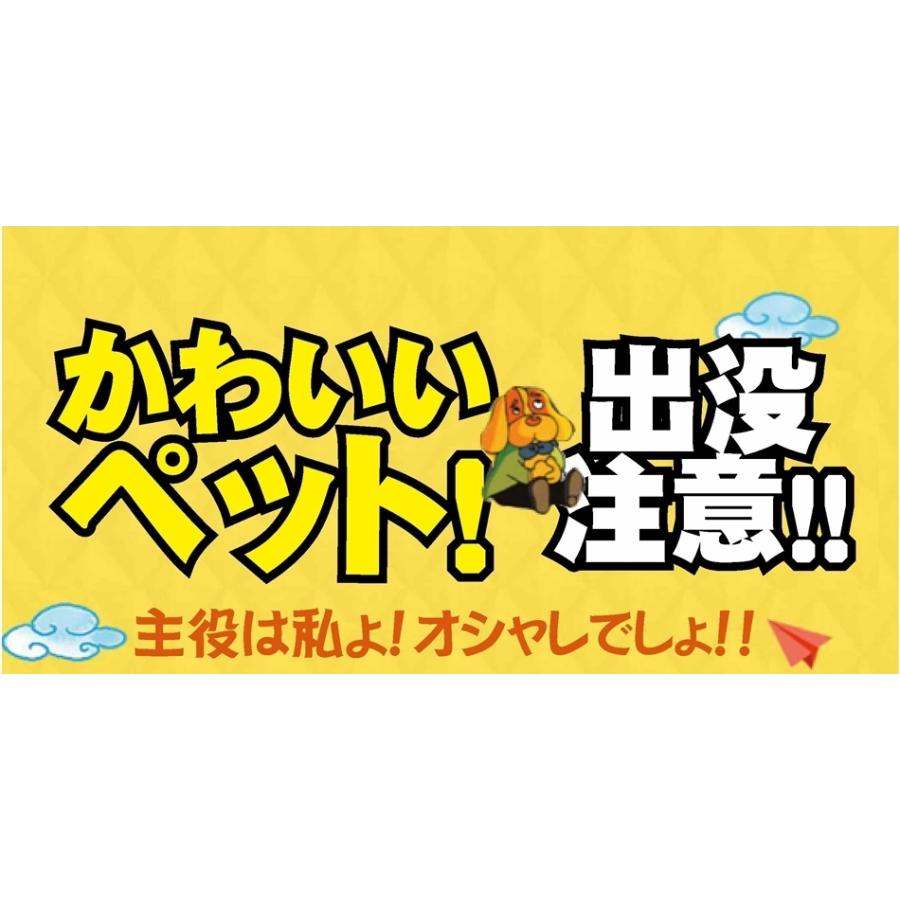 リード 可愛い アウトレット ハーネス お散歩 簡単 犬 デニム 痛くない 猫 胴輪 軽量 おしゃれ 通気性 ソフト 脱着