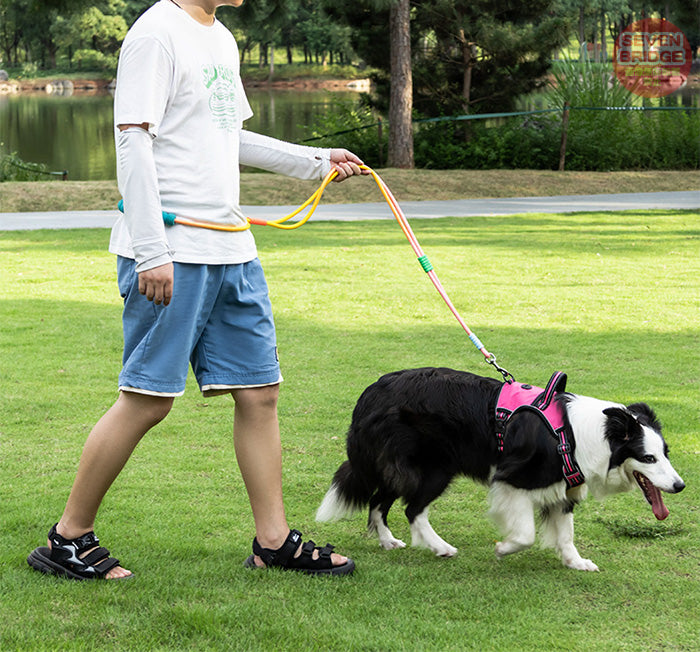 多機能 ダブルリード ランニングリード ハンズフリーリード 犬 肩掛けリード リード 大型犬 中型犬 ショルダーリード 小型犬