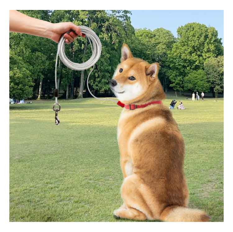 早いもの胜ち 犬の散歩 大型犬 切れないリード リード ワイヤー 中型犬 チューブ ワイヤーリード ロングリード リード 3M ワイヤー入り 錆びにくく ワイヤーリード ドッグリード 犬用リード 10