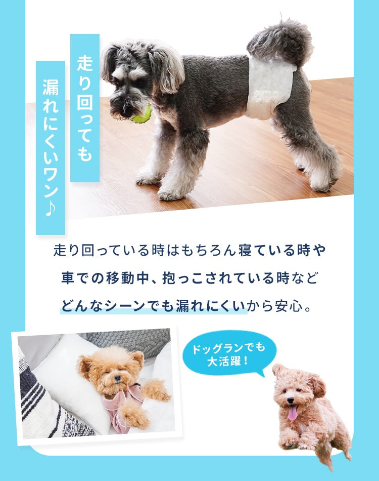 <a href="https://www.qoo10.jp/gmkt.inc/Search/brand.aspx?brandno=114450" target="_blank" class="title_brand" id="btn_brand" title="WEIMALL">WEIMALL</a>犬用おむつ 男の子 おしっこ用 ペット オムツ カバー 小型犬 小型犬 中型犬 テープ付き 紙オムツ しつけ 介護 避妊用 お漏らし対策 ペット用 紙おむつ 60枚 120枚 72枚 144枚