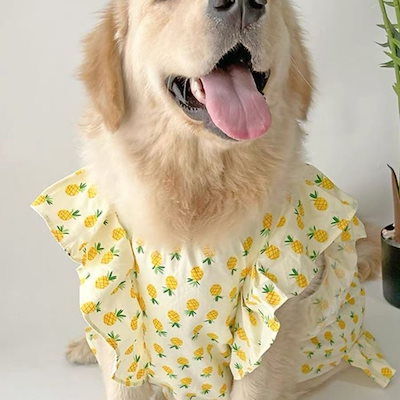 【新作犬猫服 登場】 犬服 ペット服 犬 洋服 春夏大型犬ペットベスト中型犬大型犬服