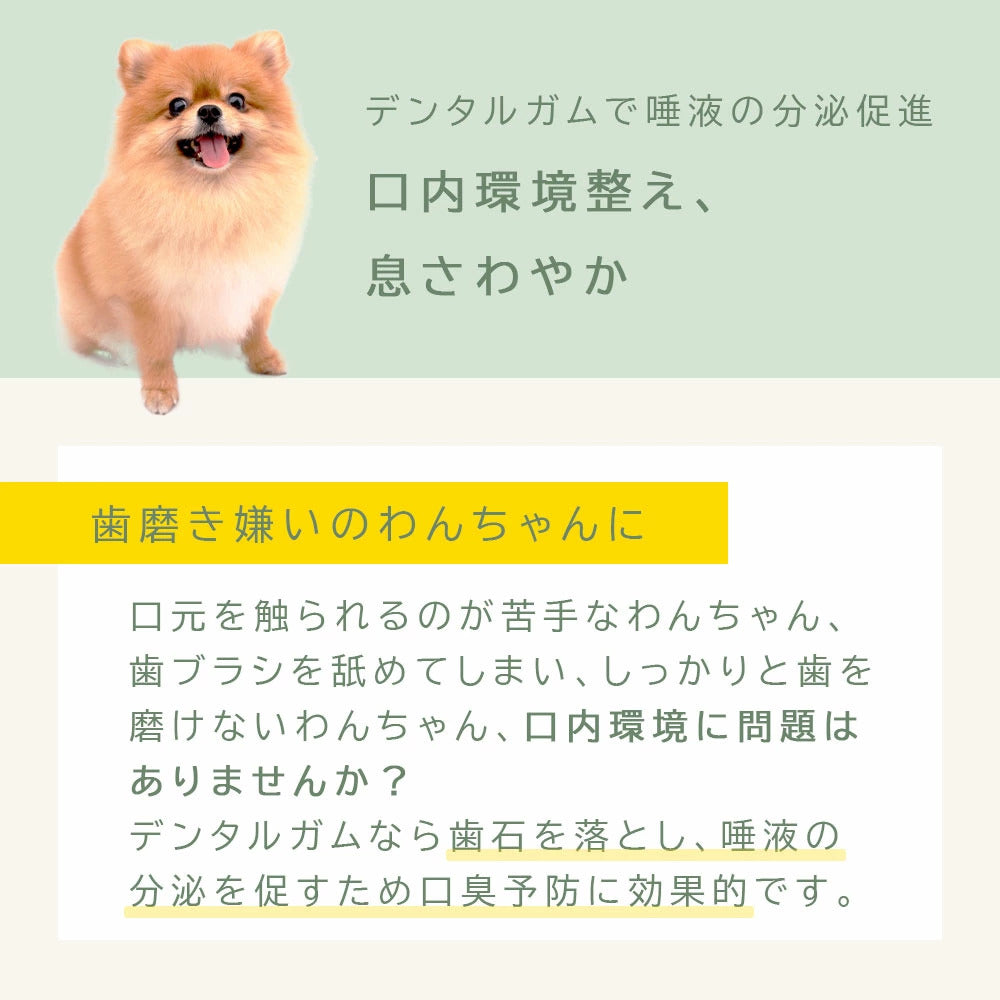 <a href="https://www.qoo10.jp/gmkt.inc/Search/brand.aspx?brandno=60969" target="_blank" class="title_brand" id="btn_brand" title="ガム">ガム</a>犬用おやつ デンタルスティック 国産 無添加 200本 (50本4袋) ペット はみがき 犬用 おやつ 着色料不使用 保存料不使用 小型犬 中型犬 大型犬