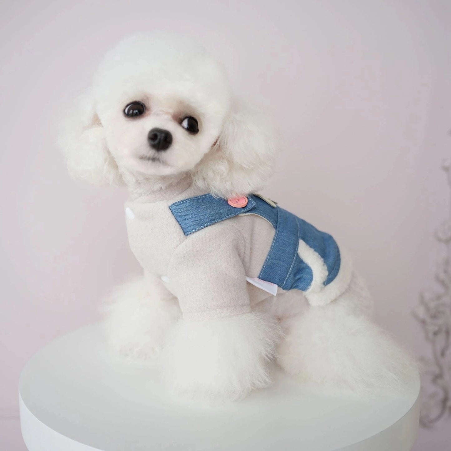 犬服ペット新作秋冬ウェア擦れデニムスーツ犬ビション背中4本足服ズボン2本足服