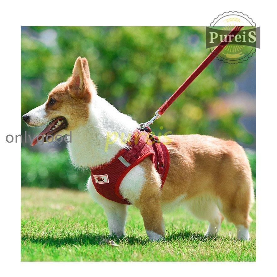 2-5日出荷 新品推奨 犬 ハーネス リード付 ペット服 ウェアハーネス 胴輪 キャット ドッグ メッシュ 一体型 胸あて式 軽量 調節可能 犬用 小型犬 ペット用品 猫用首輪 猫/犬 可愛い ポイン