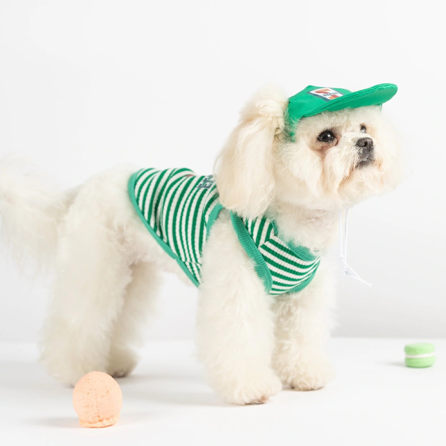 犬 洋服 春夏犬服ボーダーベスト帽子リードスリング小型犬猫ペット服