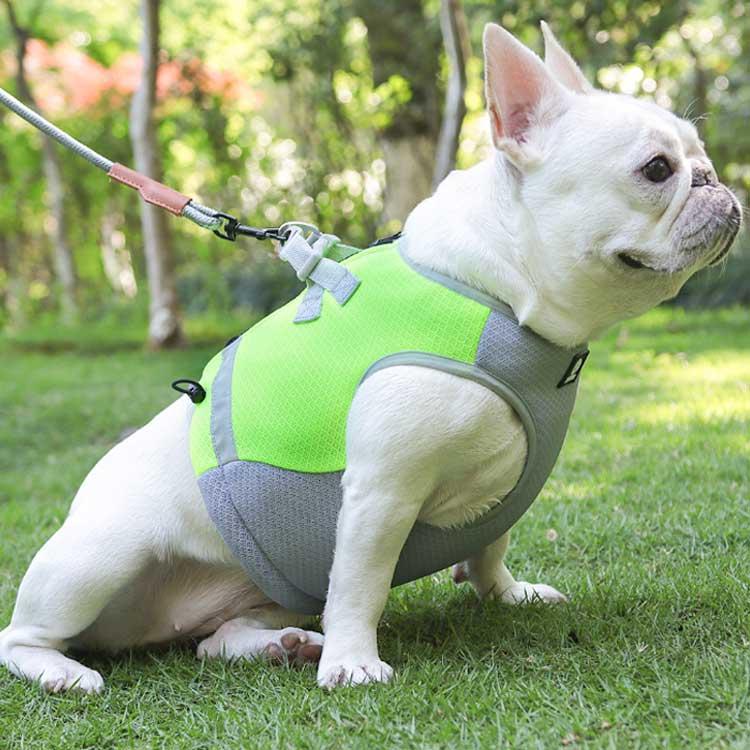【今月限りのアクティビティ】【出荷が迅速である】犬 熱中症対策 犬クールウェア 犬クールベスト ハーネス 気化熱 冷却 涼しい 犬服 夏用 冷感服 小型犬 中型犬 大型犬 夏用服 紫外線対策 軽量 ク