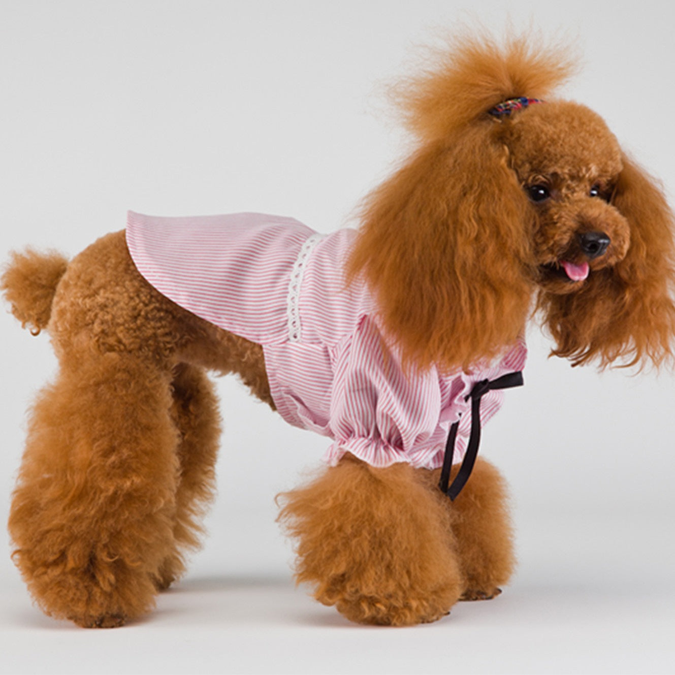 猫 犬 洋服 犬服 ペット服 大中小型犬 ペット用品 犬/猫用 犬の服 ペットウエア 小型犬 中型犬 通気 可愛い ドッグウェア トレーナー 犬 服 ワンピース サロペット ビションフリーゼ 犬猫服