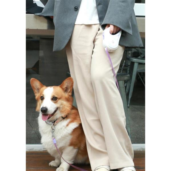 5m 電池別売り 小型犬 単4 散歩 伸縮 電池式 長い ワンタッチ 夜間 犬用リード ロック機能付 中型犬 軽量 巻き取り ライト付き リード 光る