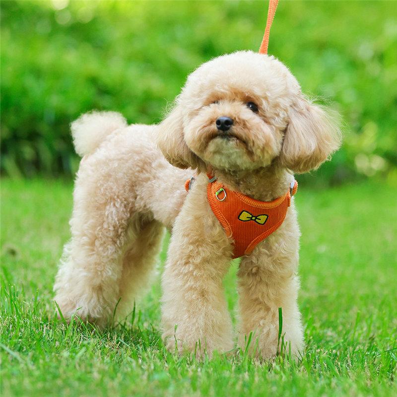 中型犬小型犬散歩グッズ 簡単装着 犬 脱げない 首輪 4カラー 苦しくない ハーネスリードセット おしゃれな