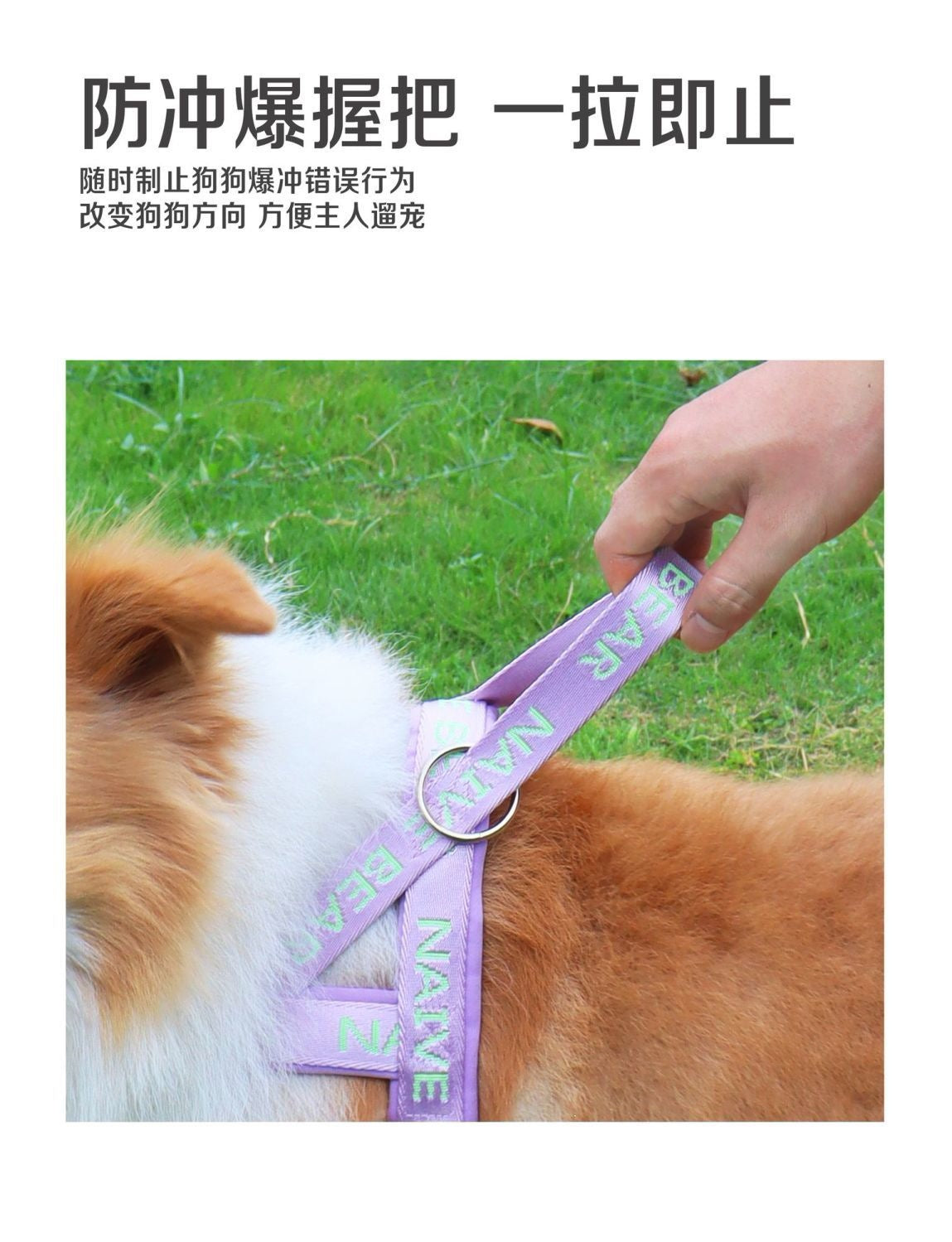 犬牽引ロープベストサドルペット防爆ペット犬ストラップ中小型熊テディコーキ外出通用 メガ割ワンピースパンツトートバッグ