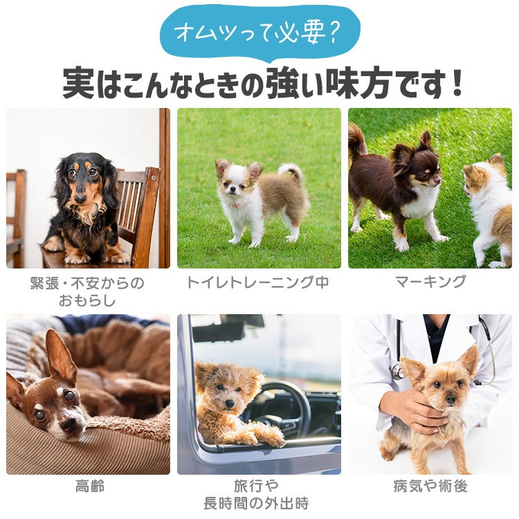 <a href="https://www.qoo10.jp/gmkt.inc/Search/brand.aspx?brandno=49458" target="_blank" class="title_brand" id="btn_brand" title="アイリスオーヤマ">アイリスオーヤマ</a>【公式】長時間安心/ ペットオムツ 男の子 マナーベルト オス 超小型犬 中型犬 ペット用 紙おむつ 介護 粗相 PitaFit MNPD * 送料無料