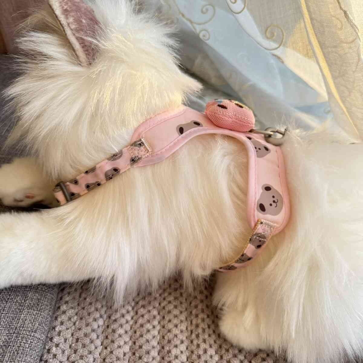 猫牽引ロープベストは犬のロープを散歩する小型専用チェーンでペットのストラップを調節します メガ割ワンピースパンツトートバッグ