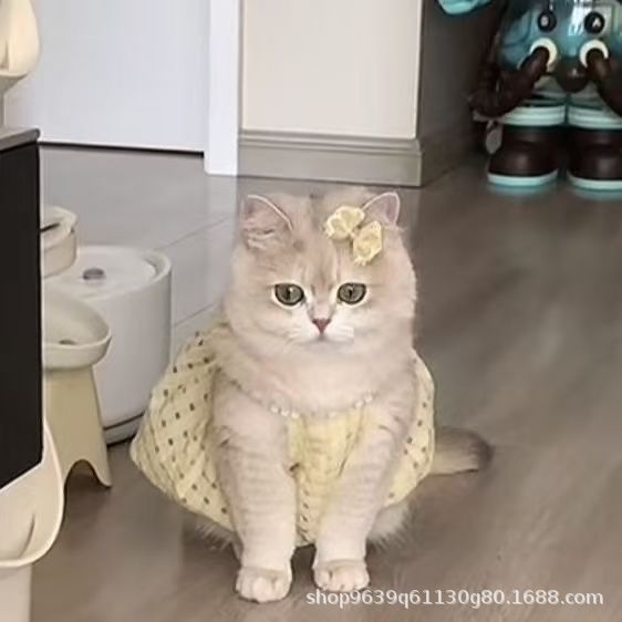 お得な商品 犬服 かわいい バルーン ドレス 犬洋服 猫服 猫 ワンピース 猫用 犬の服 犬用服 ペット服 キャミソール 犬 透け感 夏 春夏 犬服夏 着せやすい大好評