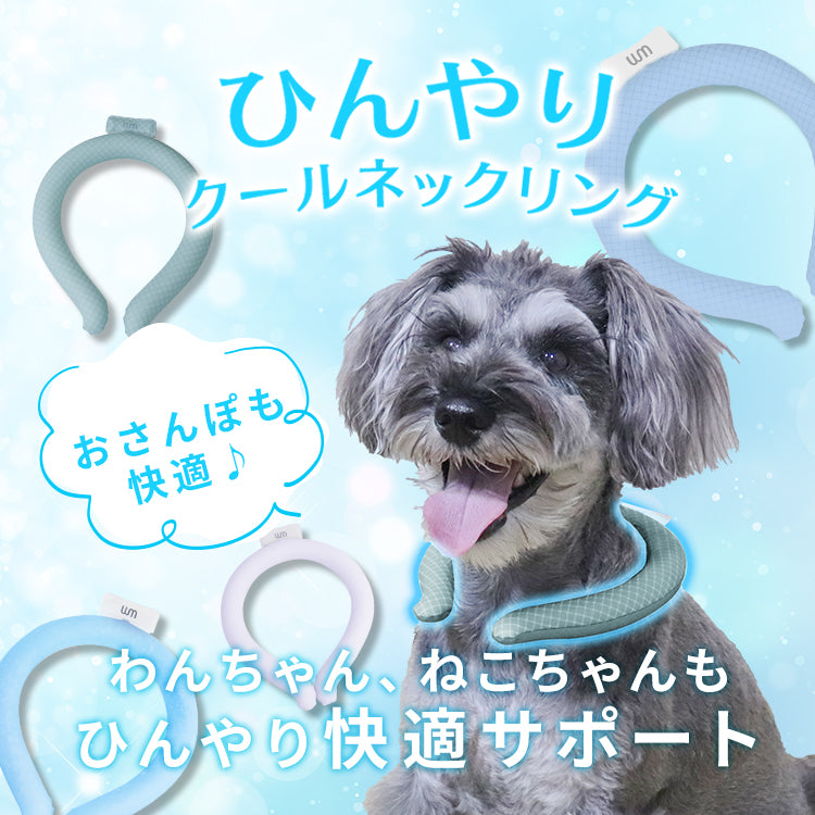 <a href="https://www.qoo10.jp/gmkt.inc/Search/brand.aspx?brandno=114450" target="_blank" class="title_brand" id="btn_brand" title="WEIMALL">WEIMALL</a>ペットシーツ 厚型 ワイド レギュラー 大容量 1200枚 800枚 600枚 200枚 まとめ買い 使い捨てペットシート 多頭飼い 犬 猫 業務用 ペット用品