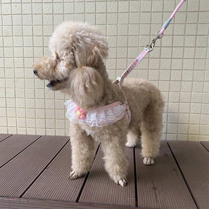 犬の牽引紐レースの胸の帯のテディ比熊の小型犬の牽引犬の縄は犬のひもの犬のチェーンを散歩します