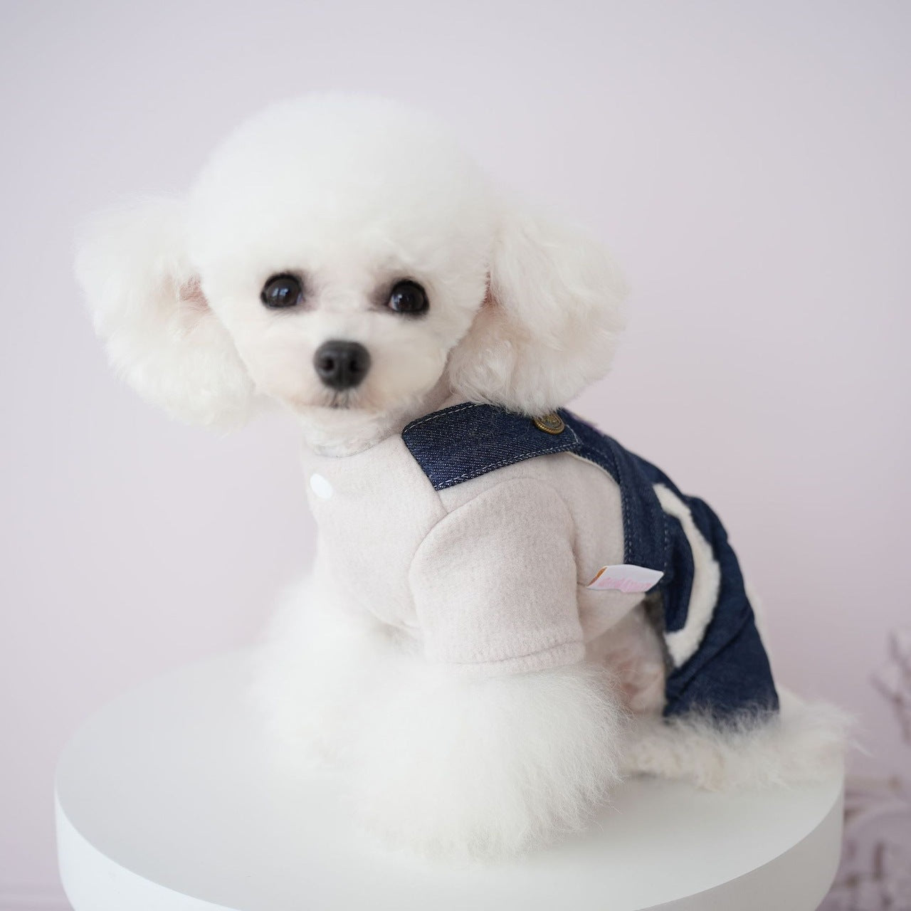 犬服ペット新作秋冬ウェア擦れデニムスーツ犬ビション背中4本足服ズボン2本足服