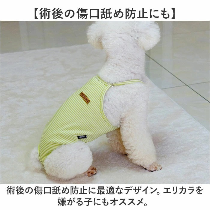 サニタリーパンツ 犬 通販 生理パンツ 犬用下着 生理下着 女の子 マナーパンツ ペット整理パンツ ペット用 犬用 猫用 ワンピース キャミソール マナーガード 生理用パンツ 生理 犬用品 ドッグウェ
