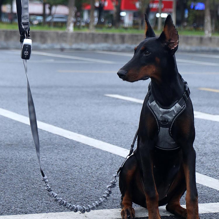 高い人気 リード 犬 ハンズフリー 腰に巻ける 肩掛け 犬リード 大型犬 中型犬 小型犬 しつけ用リード 犬と一緒にランニング/ジョギング/散歩用 ベルト ショルダー ポール留め マルチ ペット用品