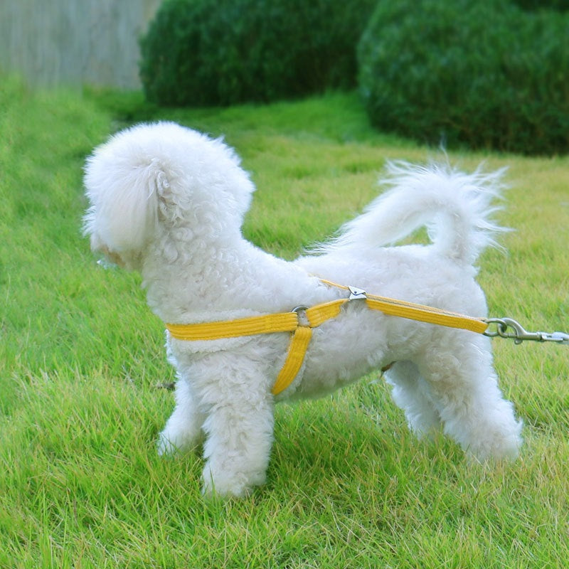 お出かけ 犬 簡単装着 ハーネスリードセット リード 135 おしゃれ シンプル ペット用品 胴輪 小型犬 ペットハーネス ハーネス リーシュ お散歩 2点セット 中型犬 犬用 犬用ハーネス 軽量 ネ