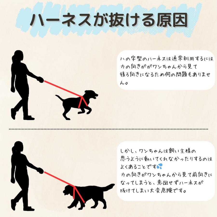 首輪 簡単装着 犬 リード バ 散歩 型犬 胴輪 中型犬 抜けない 安心 クッション 夜 ナスカン ハーネス ックル 脱げない 小型犬 頑丈 ロック機能 大