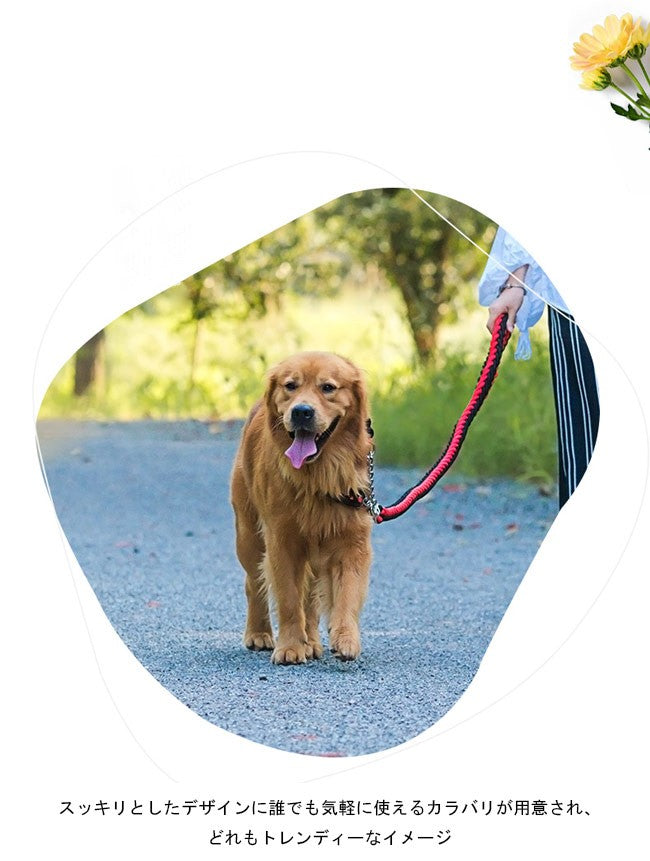 送 料 無 料!犬用 首輪 リード 2点セット 牽引ロープ ペット用品 大型犬 中型犬 牽引縄 セットアップ お洒落 ドッグウェア ハーネス 切り替え