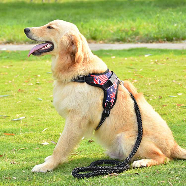 キャンペーンハーネス 犬 大型犬 柴犬 3点セット 抜けない 小型犬 調整可能 ハンドル付き 抜けにくい ハーネスリードセット 3点セット ステップハーネス 脱出防止 ウェアハーネス 犬用 ペットハー