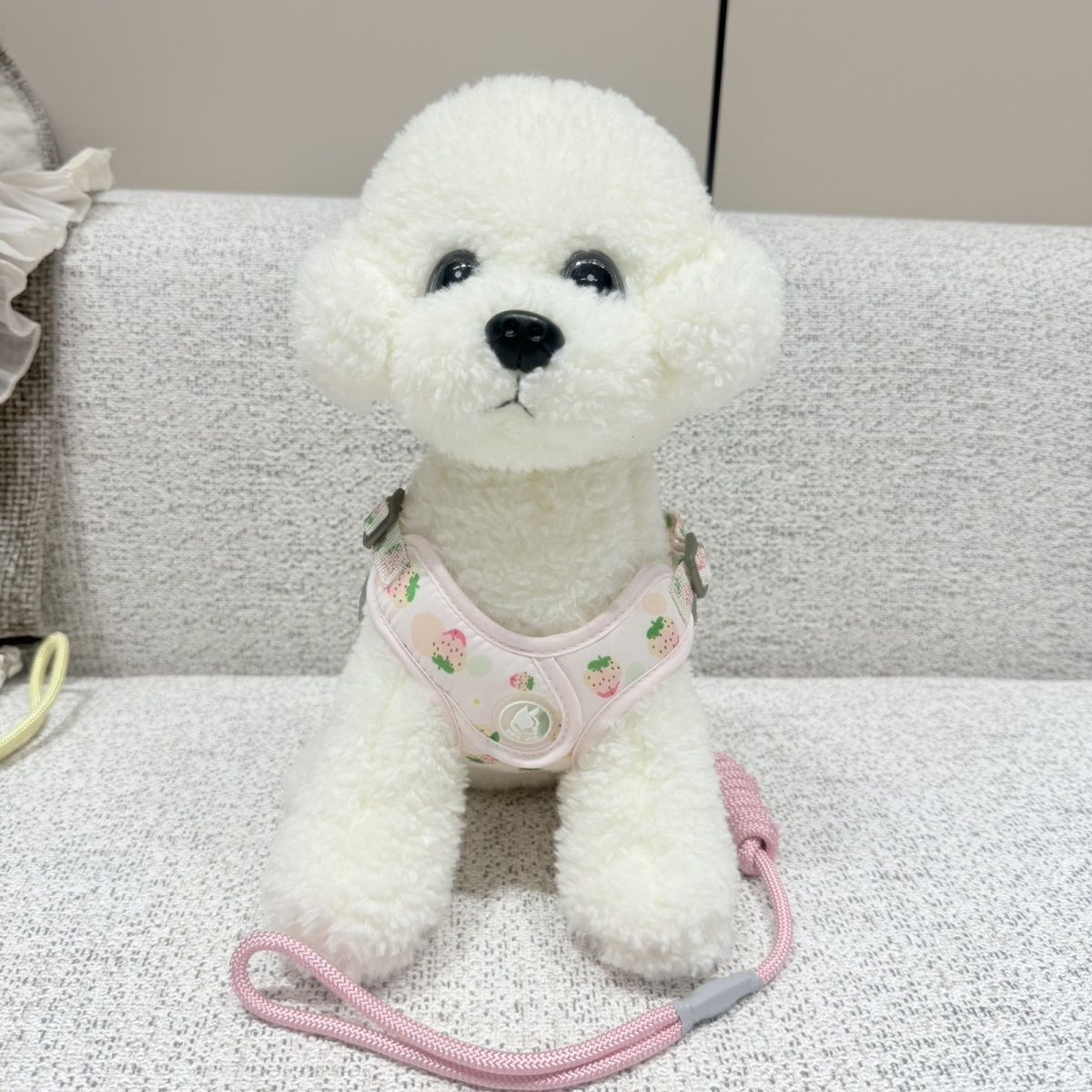 新型伸縮可能な通気性ペットの胸の牽引紐の小型犬は四季を通じて通用します