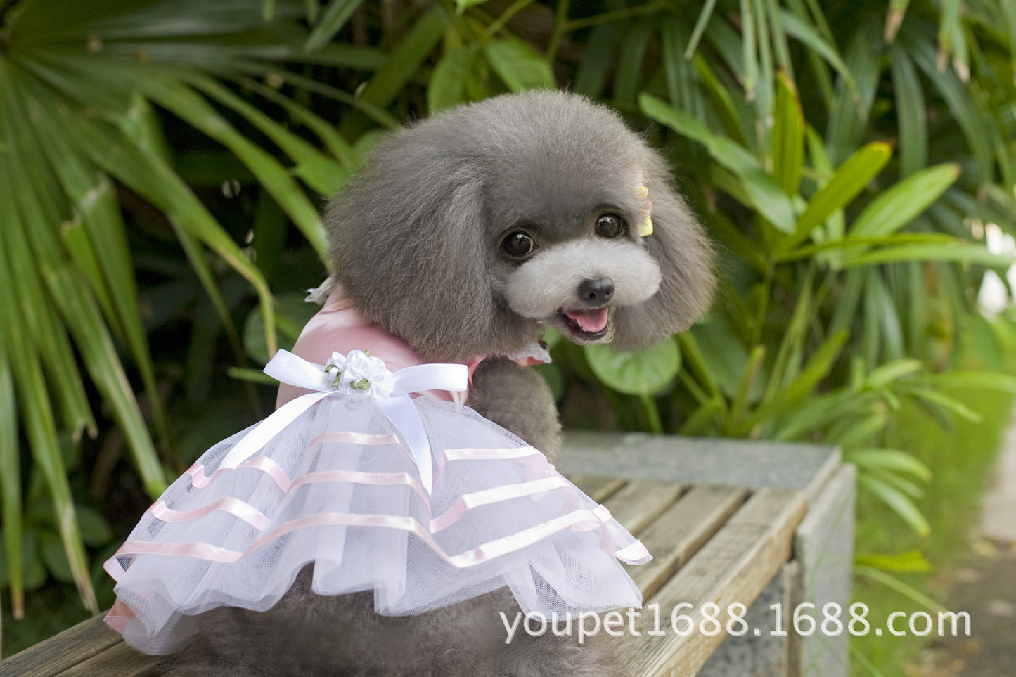 猫 犬 洋服 犬服 ペット服 大中小型犬 ペット用品 犬/猫用 犬の服 ペットウエア 小型犬 中型犬 通気 可愛い ドッグウェア トレーナー 犬 服 ワンピース サロペット ビションフリーゼ 犬猫服