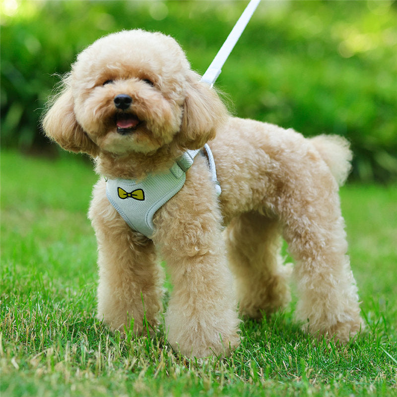 中型犬小型犬散歩グッズ 簡単装着 犬 脱げない 首輪 4カラー 苦しくない ハーネスリードセット おしゃれな