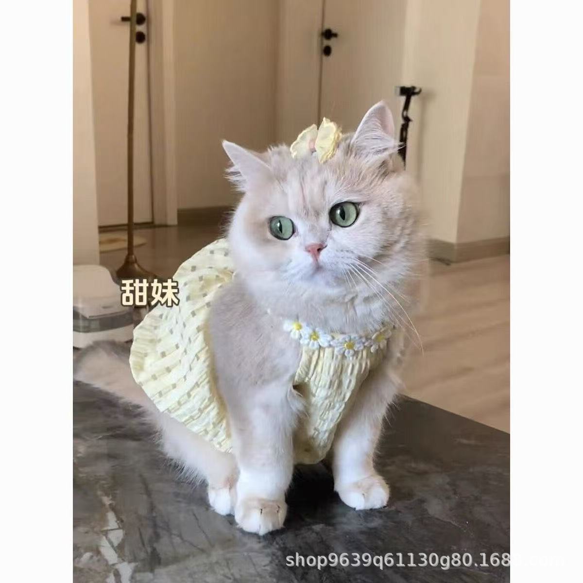 お得な商品 犬服 かわいい バルーン ドレス 犬洋服 猫服 猫 ワンピース 猫用 犬の服 犬用服 ペット服 キャミソール 犬 透け感 夏 春夏 犬服夏 着せやすい大好評
