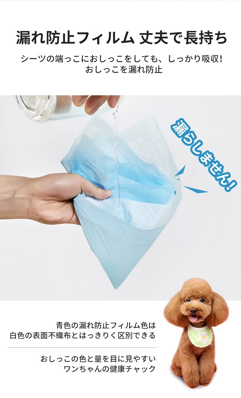 <a href="https://www.qoo10.jp/gmkt.inc/Search/brand.aspx?brandno=109151" target="_blank" class="title_brand" id="btn_brand" title="Honeycare">Honeycare</a>ペットシーツ 薄型 ペットシート 犬猫 サイズ選択可 レギュラー800枚 ワイド400枚 スーパーワイド200枚