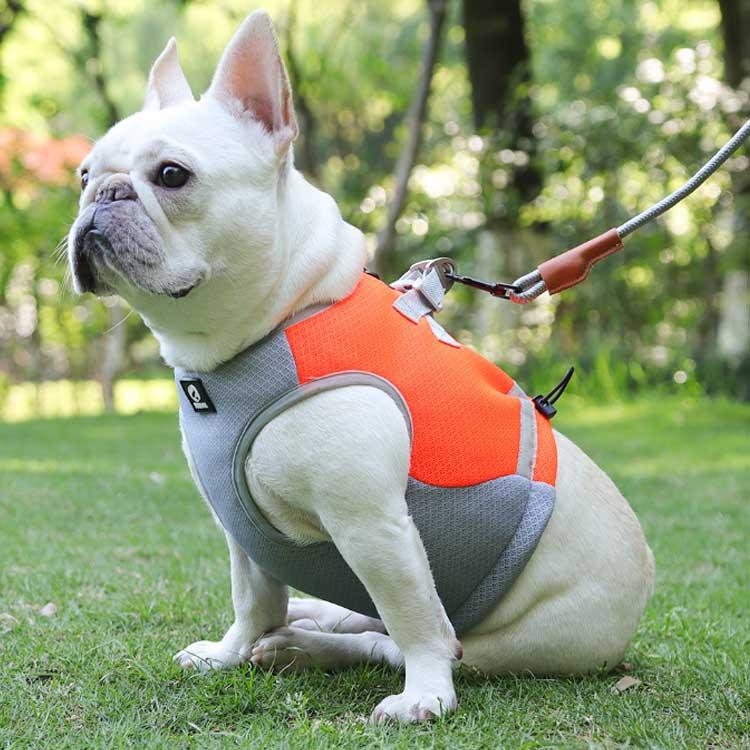 【今月限りのアクティビティ】【出荷が迅速である】犬 熱中症対策 犬クールウェア 犬クールベスト ハーネス 気化熱 冷却 涼しい 犬服 夏用 冷感服 小型犬 中型犬 大型犬 夏用服 紫外線対策 軽量 ク