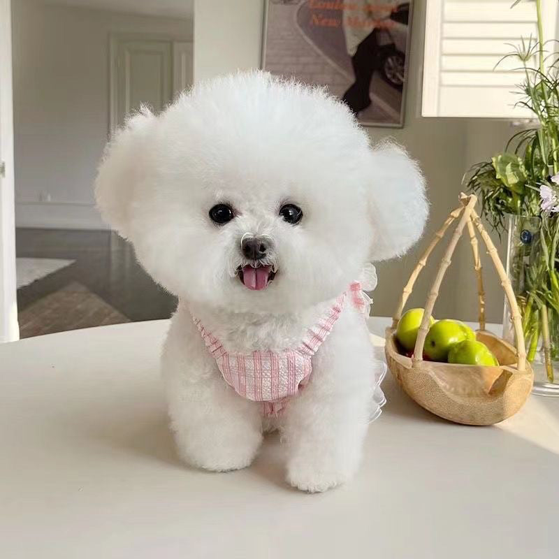 春夏新作 薄手のチョッキ ペット 蝶結び ペットの服 ペット用品 犬猫 服 洋服