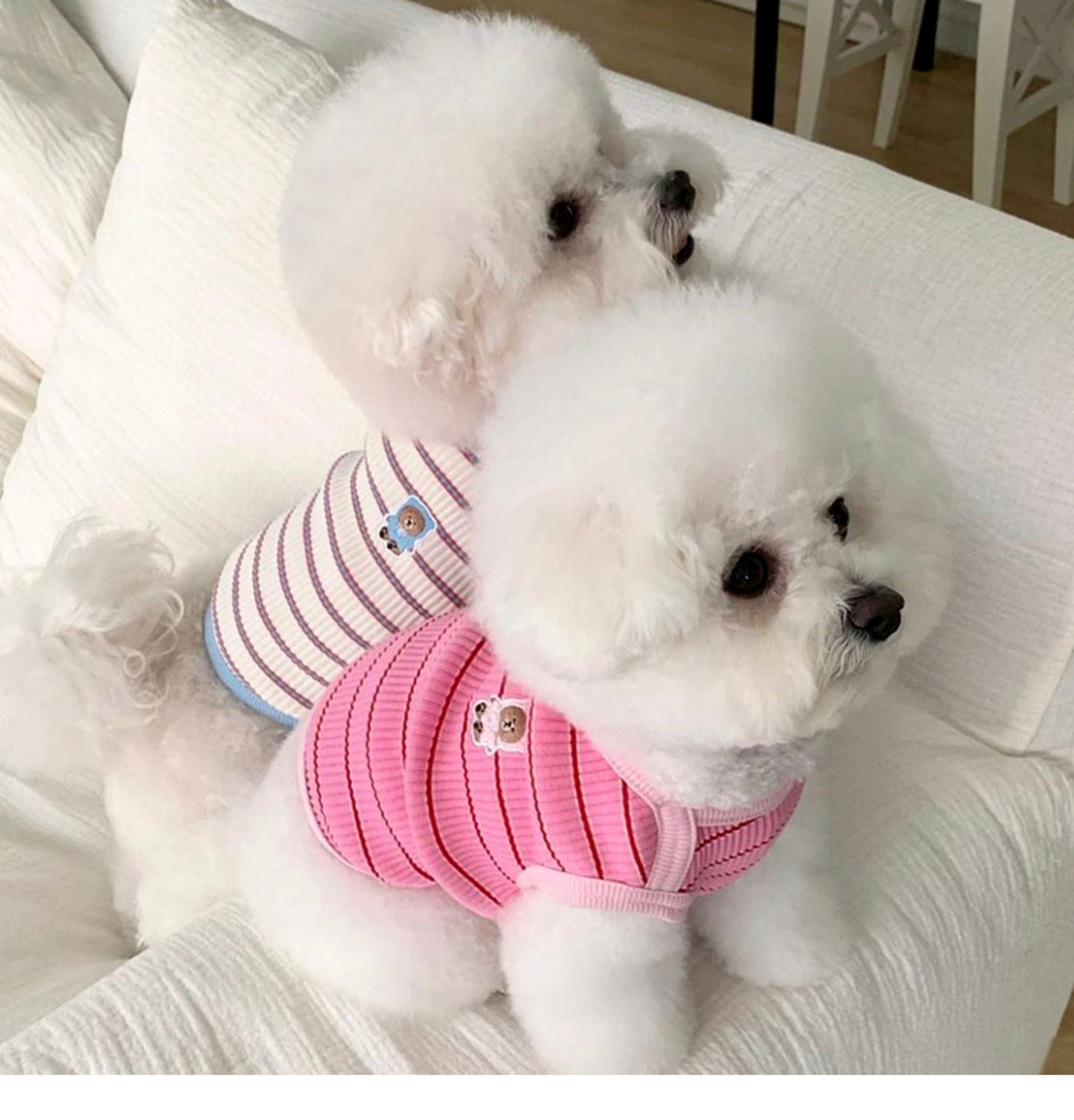春夏新作 犬服 ペット服 犬 洋服 ペット 犬用品 小中型犬 夏薄型ペットベスト猫小型子犬犬服夏