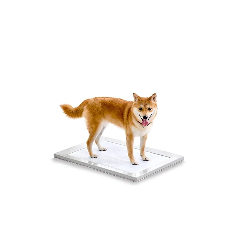 【即納】アイリスオーヤマ 犬 トイレ スクエアドッグトレー 挟むだけ マグネット ワイド ライトグレー 水洗い可